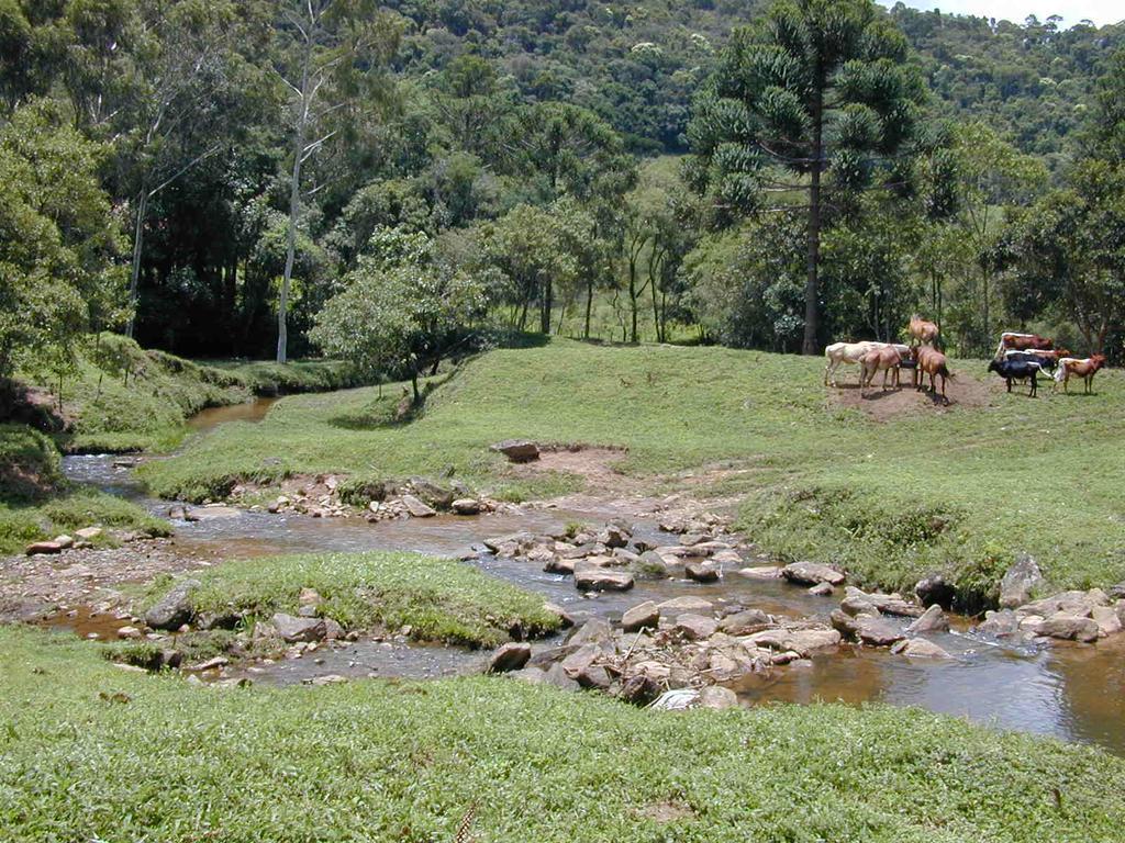 Apartamento Ferias Fazenda Usina 2 Bocaina de Minas Zewnętrze zdjęcie