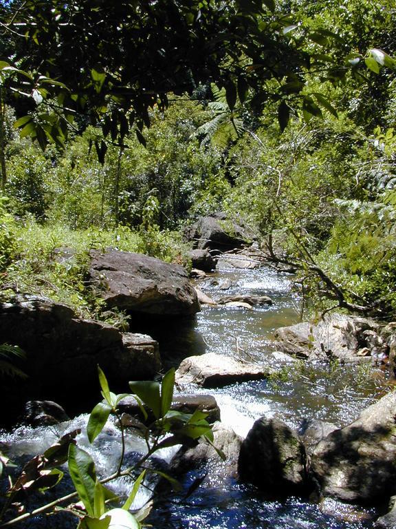 Apartamento Ferias Fazenda Usina 2 Bocaina de Minas Zewnętrze zdjęcie